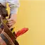 Handyman repair service in Louisville, KY for home fixes and improvements